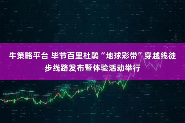 牛策略平台 毕节百里杜鹃“地球彩带”穿越线徒步线路发布暨体验活动举行