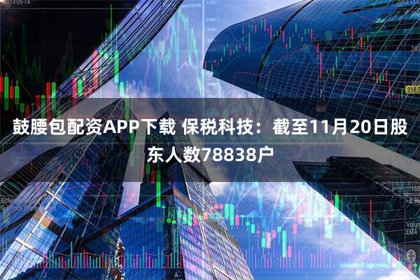 鼓腰包配资APP下载 保税科技：截至11月20日股东人数78838户