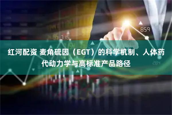 红河配资 麦角硫因（EGT）的科学机制、人体药代动力学与高标准产品路径