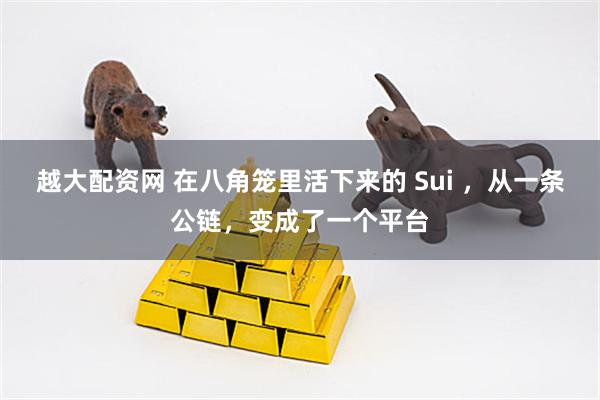 越大配资网 在八角笼里活下来的 Sui ，从一条公链，变成了一个平台
