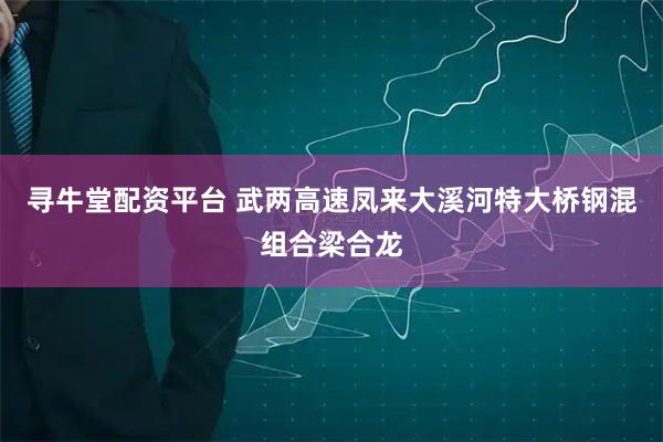 寻牛堂配资平台 武两高速凤来大溪河特大桥钢混组合梁合龙