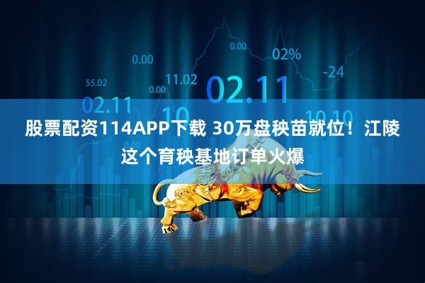 股票配资114APP下载 30万盘秧苗就位！江陵这个育秧基地订单火爆