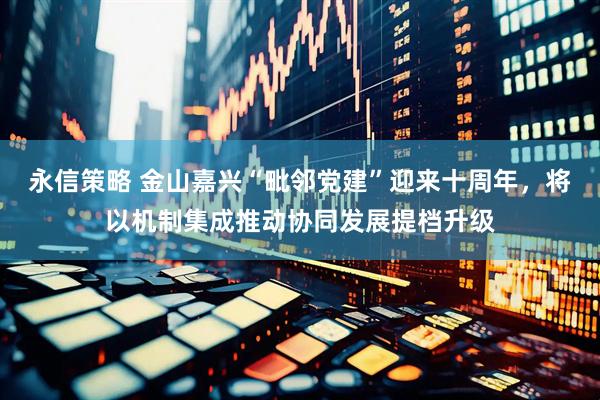 永信策略 金山嘉兴“毗邻党建”迎来十周年，将以机制集成推动协同发展提档升级